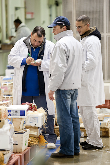 MIN RUNGIS-Maree-14.jpg